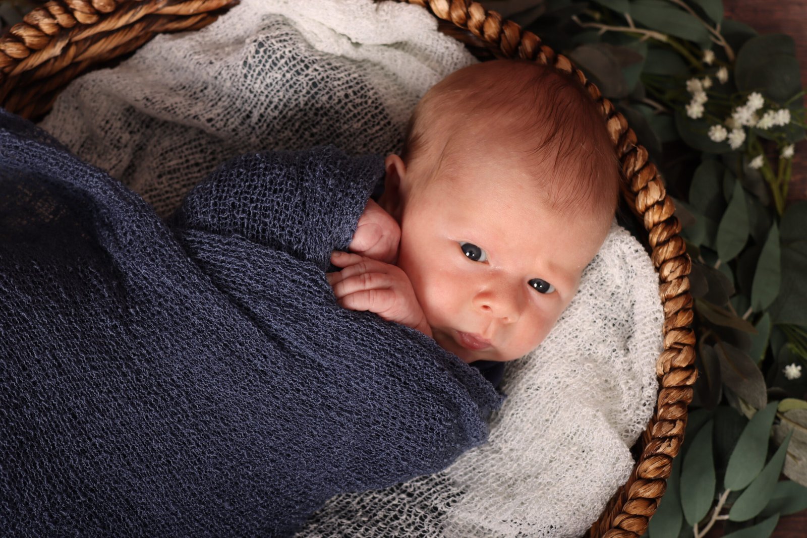 Newborn Photography