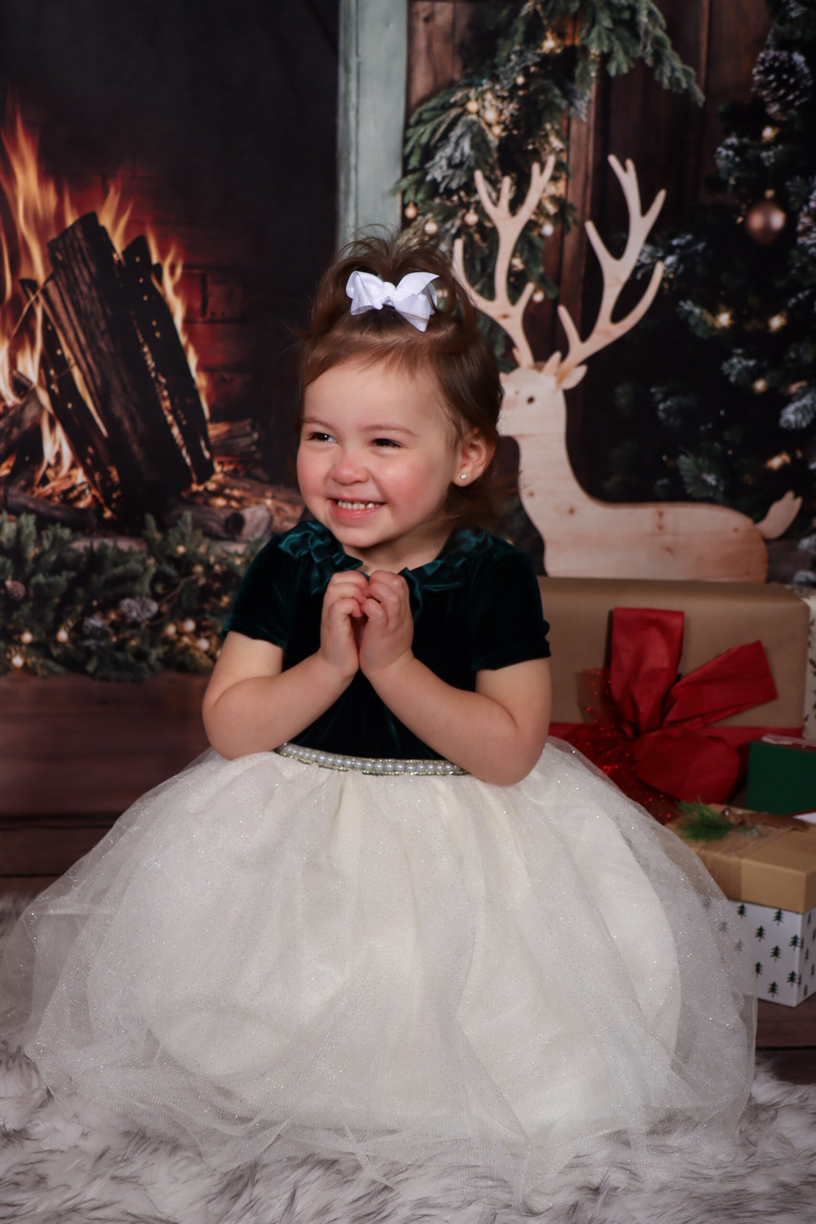 Holiday Photography